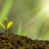 The Ultimate Guide to Affiliate Marketing: Proven Strategies for Long-Term Online Success
