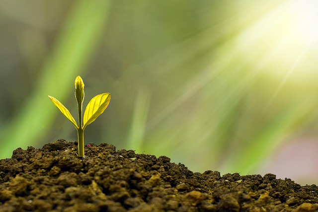 The Ultimate Guide to Affiliate Marketing: Proven Strategies for Long-Term Online Success